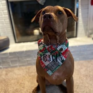 Christmas bandanas for dogs!!